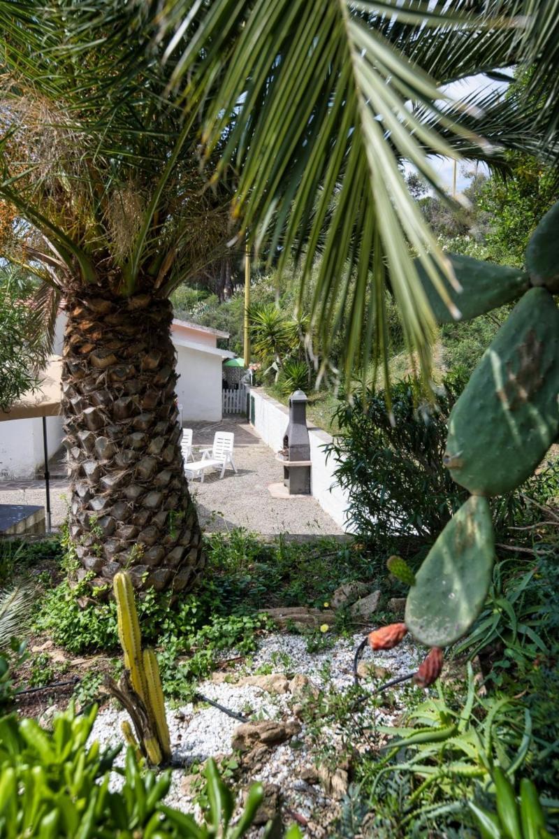 Alloggi Del Mirto A Morcone - Goelba Capoliveri (Isola d'Elba) Exterior foto