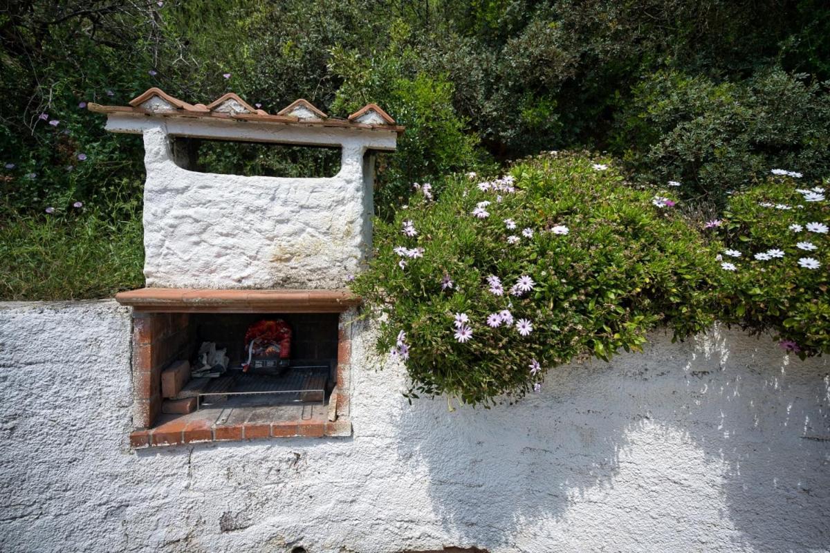 Alloggi Del Mirto A Morcone - Goelba Capoliveri (Isola d'Elba) Exterior foto